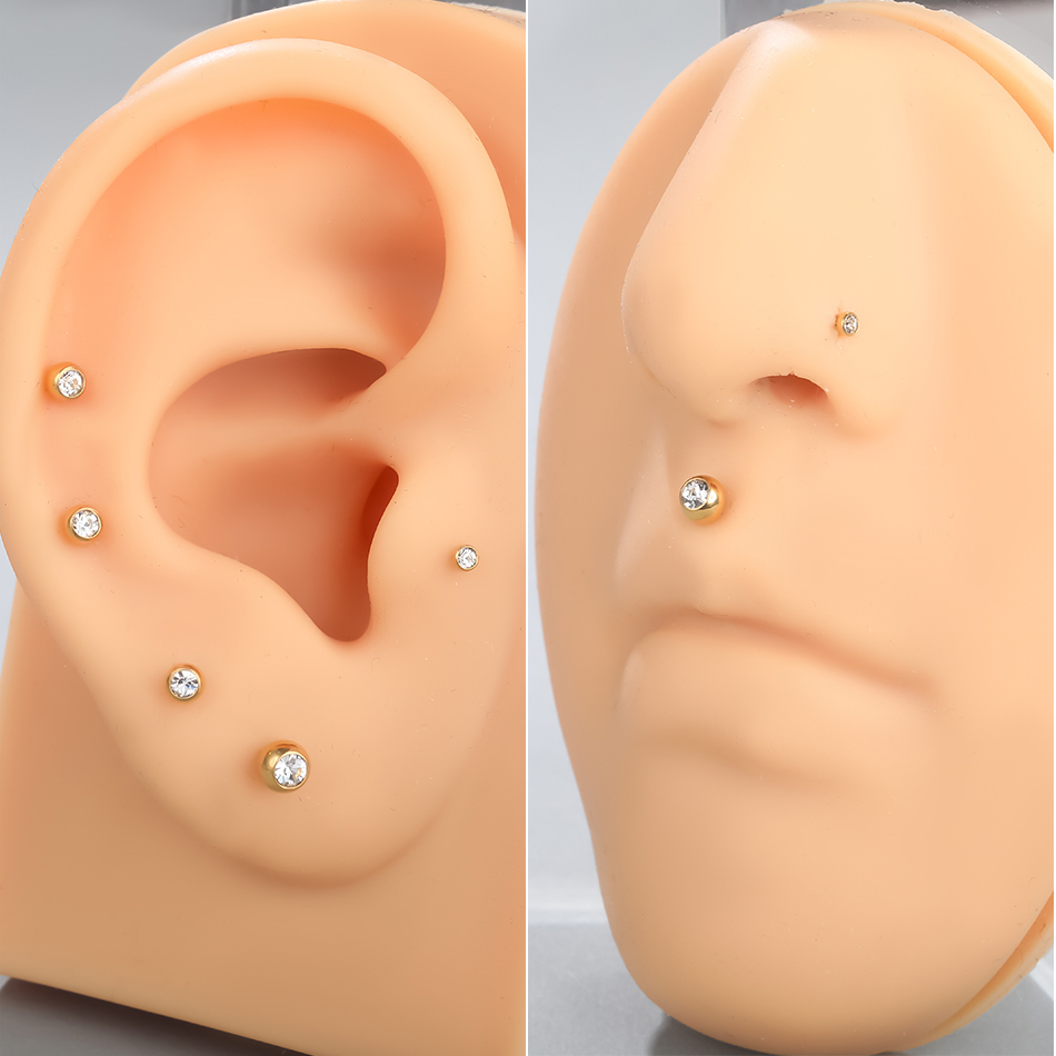 G23 تيتانيوم داخلي ثقب الخيط L - مراجعة Body Jewelry Internally Threaded وسعره