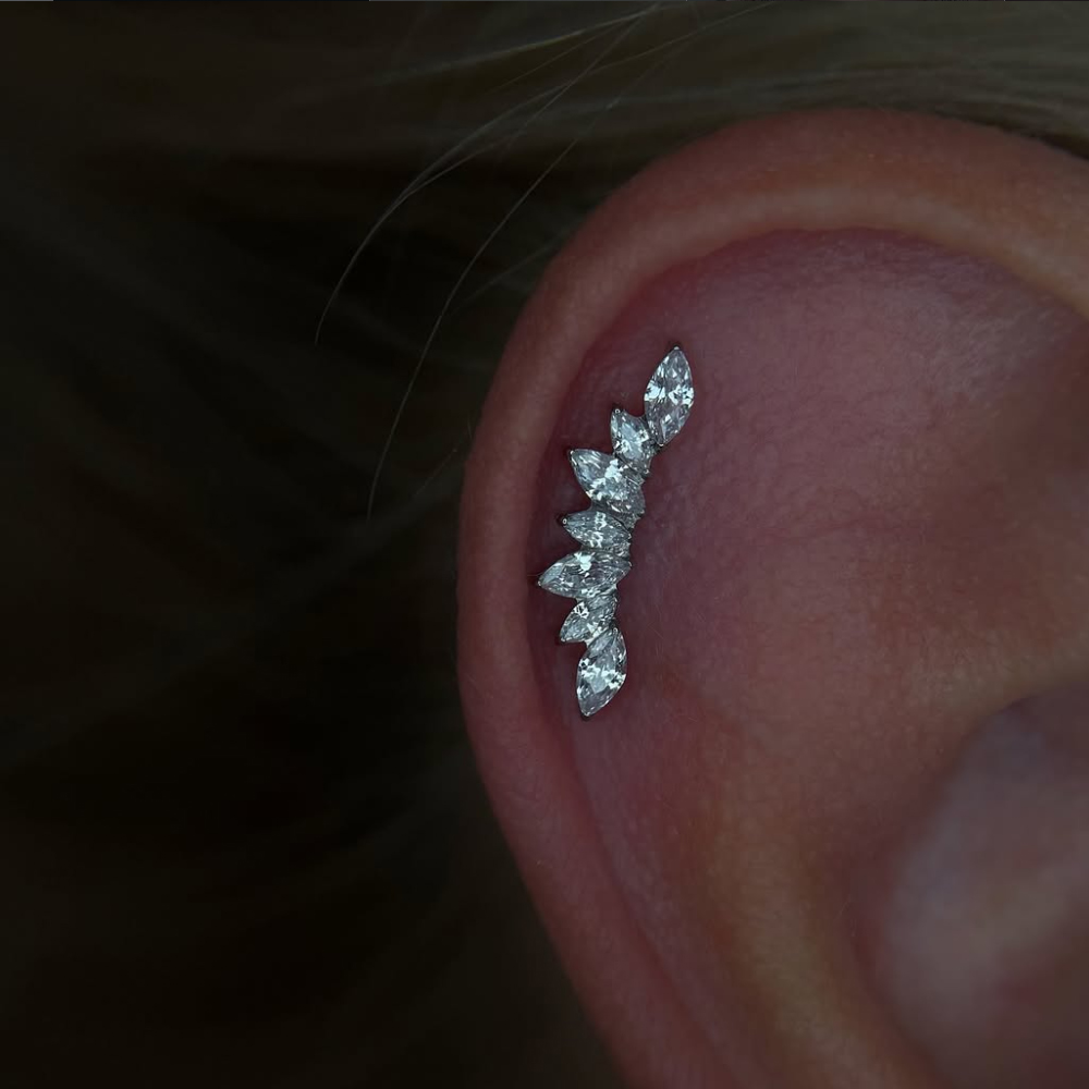 حلق أذن من التيتانيوم الصلب 16 - مراجعة Body Jewelry Internally Threaded وسعره