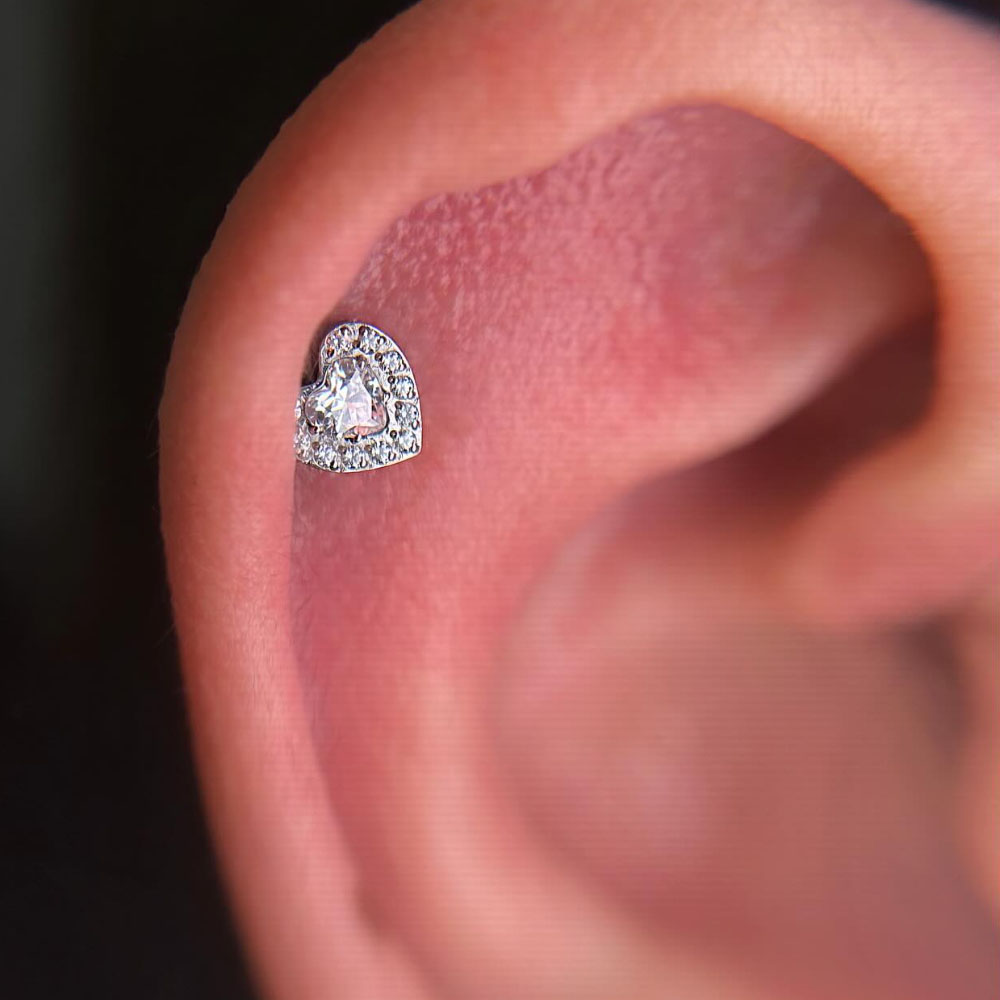 مجوهرات ثقب الأذن من التيتانيو - مراجعة Body Jewelry Internally Threaded وسعره